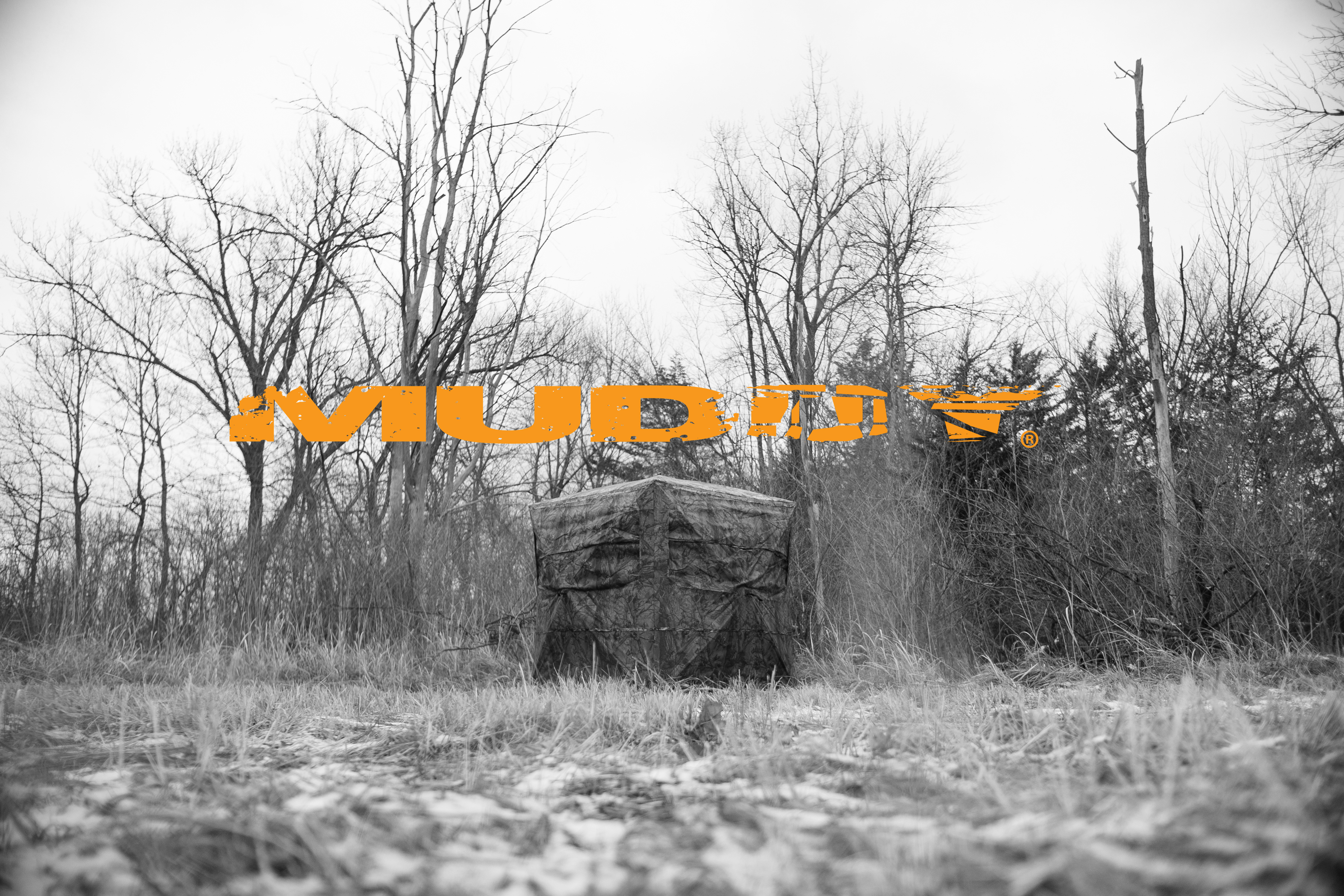 Dominate the Deer Woods